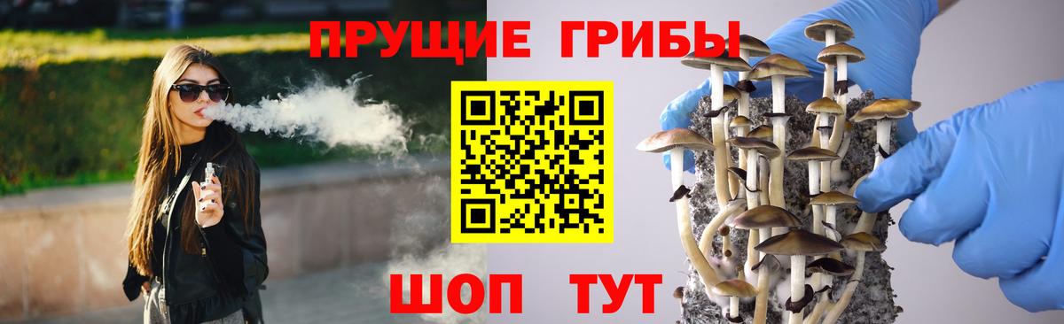 Псилоцибиновые грибы ЛСД  Псилоцибиновые грибы MAGIC MUSHROOMS  Вход с VPN  Альметьевск 